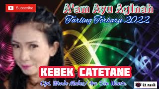 Download lagu Tarling Terbaru 2022 _ KEBEK CATETANE ( lirik ) - Aam Ayu Aginah.. mp3