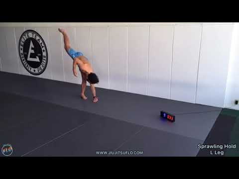 30 Minute Home HIIT (Follow Along) Workout #11 - Jiu Jitsu FLO
