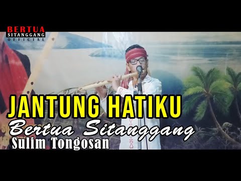 JANTUNG HATIKU BERTUA SITANGGANG SULIM TONGOSAN