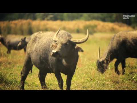 K-Paul - Running (Official Video HD)