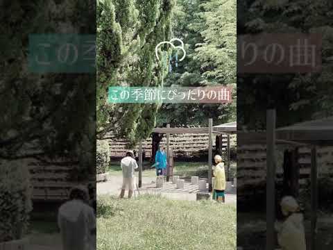 文学科 ぽよよんちゃんねる新作動画は6月6日朝7時公開予定です🌈ただいま撮影・編集中！　#shorts