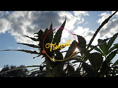 George Palmer - Sensimilia [Irie Crew Dubplate]