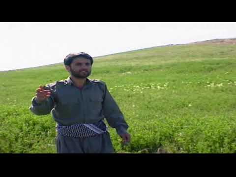 Salih Dilovan Sebramin 2000