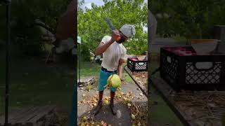 🇧🇧 One Chop Coconut Man in Barbados #shorts