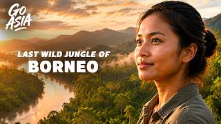 Download lagu The Secrets of Borneo's Ancient Jungle | Documentary AMP mp3
