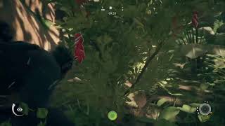 猿を進化させるゲーム