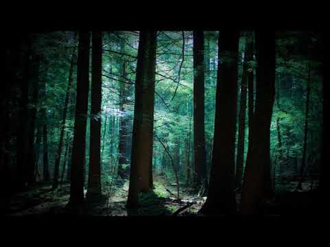 Le Baxx23 - Le cri des âmes perdues