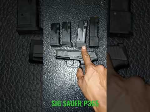 One of the Best Concealed Carries - SIG SAUER P365 - G.O.T.D. Gun of the Day