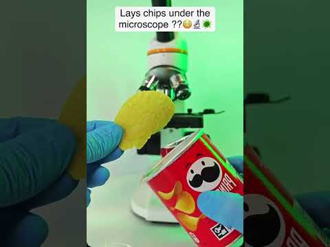Lays chips under microscope  #microscope