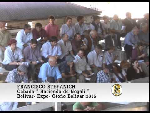 16-05-15 Nota a Francisco Stefanich ( Cabaña " Hacienda Nogolì " )  - Expo-Otoño Bolivar