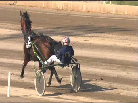 Trotto 30/04/2016 - 6 ° Corsa Finale