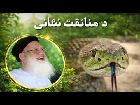 Maulana Hasan Jan — Da Munafiqat Nakhane (Signs of Hypocrisy)