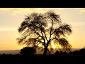 For bird watcher and animal lovers - Andes Nomads - Desert Camp & Lodge - Andes Nomads For bird watcher and animal lovers - Andes Nomads - Desert Camp & Lodge