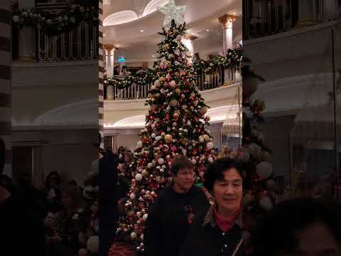 Thumbnail for Christmas tree lighting on Carnival Firenze