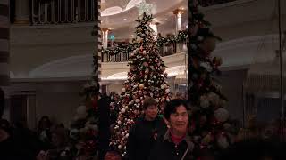 Christmas tree lighting on Carnival Firenze