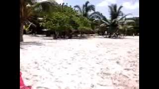preview picture of video 'Playa Bayahibe'