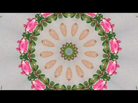 Inner Shaman - Ayahuasca