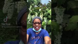 “don’t die while there’s still life inside of you”