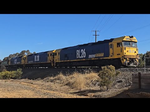 7731V PN down empty grainy (BLs 26, 27 & 30), Geelong to Murtoa, 1715, 17/2/25, Stawell East VIC