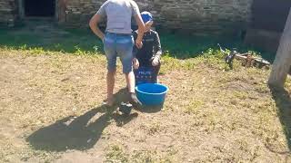 Приколы