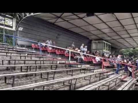 VfR Mannheim - Rhein-Neckar-Stadion