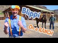 Blippi Visits A Ranch Explore With BLIPPI Educational Videos For Toddlers