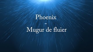 Phoenix - Mugur de fluier (versuri, lyrics, karaoke)