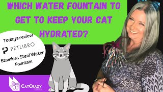 How to Choose The Right Water Fountain For Your Cat! 😻
