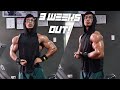 SHOULDER WORKOUT ON LOW CARB | GRABE YUNG PUMP! | 3 WEEKS OUT