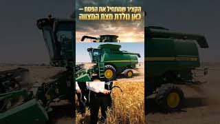 אפיית מצות - קציר חיטים | הרב יוסף צ. בן פורת (הרב יוסף צבי בן פורת) - התמונה מוצגת ישירות מתוך אתר האינטרנט יוטיוב. זכויות היוצרים בתמונה שייכות ליוצרה. קישור קרדיט למקור התוכן נמצא בתוך דף הסרטון