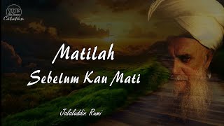 Download lagu MATILAH SEBELUM KAU MATI - Syair Sufi Jalaluddin rumi mp3