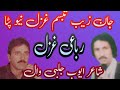 Pashto New  song II janzaib tabossam  II  Pashto mailas  II 2024