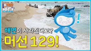 사라지는 해안을 살아 숨 쉬는 해안으로 만든다?! [똑똑한 바다]