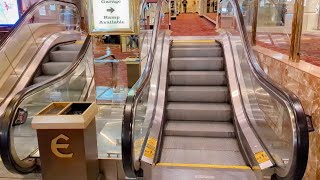 Download the video "500 Subs 1/2: 5 Steps: Schindler Escalators - Eldorado - Reno, NV"