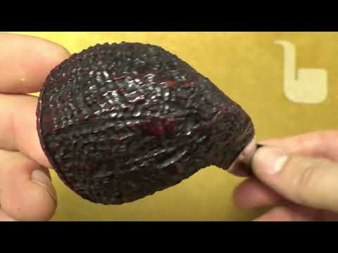 Pipa Peterson Sherlock Holmes “Squire“ Sabbiata