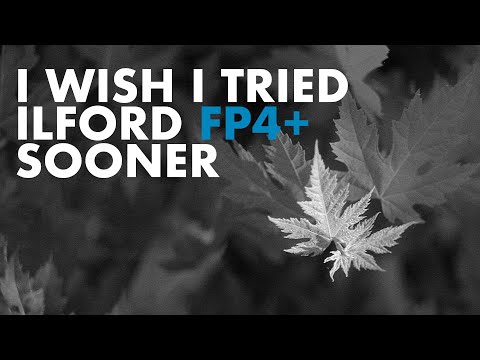 The Film Stock I used the most in 2025 | IFLORD FP4+