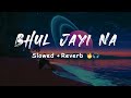 BHUL JAYI NA SHARRY MAAN Slowed Reverb