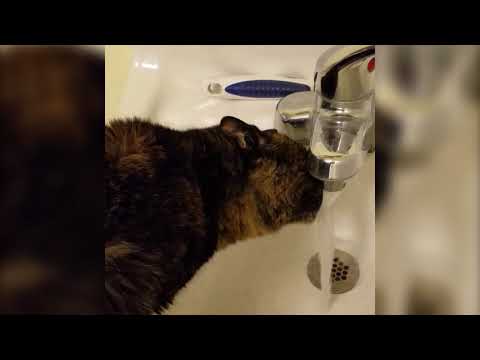 Carli getting a drink