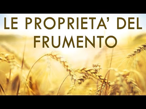 Cura di psoriasi in Mosca in venditori ambulanti Eczema su un corpo di causa