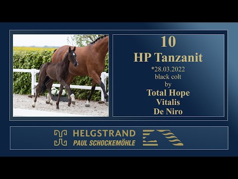 10 - HP Tanzanit by Total Hope/Vitalis - Helgstrand-Schockemöhle Auction on June 4th 2022