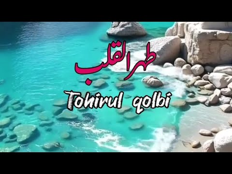 TOHIRUL QOLBI