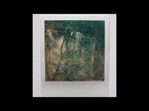 04. kodyak - endless november