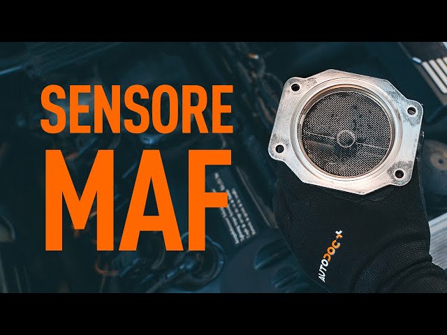 Guarda una guida video su come cambiare SMART FORFOUR Flussometro