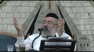 הרב ליאור כחלון,פרשת חיי שרה,2025 (הרב ליאור כחלון) - התמונה מוצגת ישירות מתוך אתר האינטרנט יוטיוב. זכויות היוצרים בתמונה שייכות ליוצרה. קישור קרדיט למקור התוכן נמצא בתוך דף הסרטון