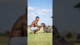 The doc told me my boy Blaze has cancer. And only a few months left with us. Sad news for the fam….