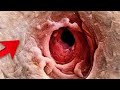 Shashi New Bathing Vlog In Lageies Shashi New Live Vlog Bath Shashi Vlogs 2022