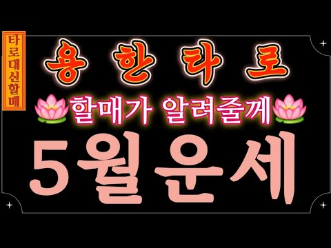 [타로|운세]대신할매께서 알려주시는 🎋5월 운세🪭🤞 #인생점집#인생타로#감동신점#신점타로#신점#용한신점#용한타로#5월운세