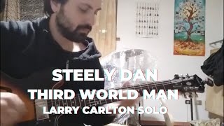 Steely Dan - Third World Man (Larry Carlton solo)