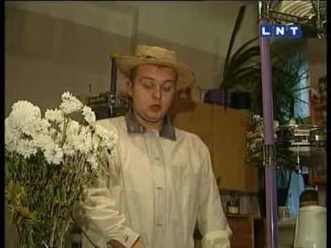 Dainīts Pabērziņš - Savādi Gan