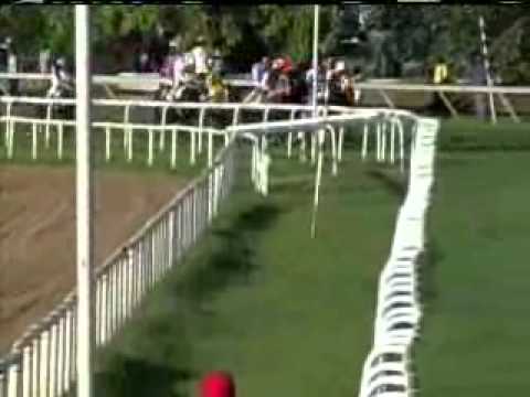 2007 United Insurance Barbados Derby - Apostle